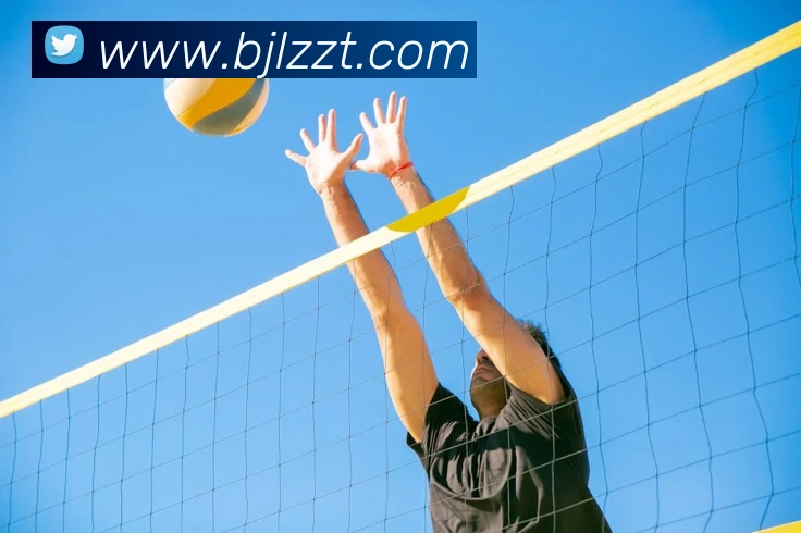 百家乐网站平台生态图